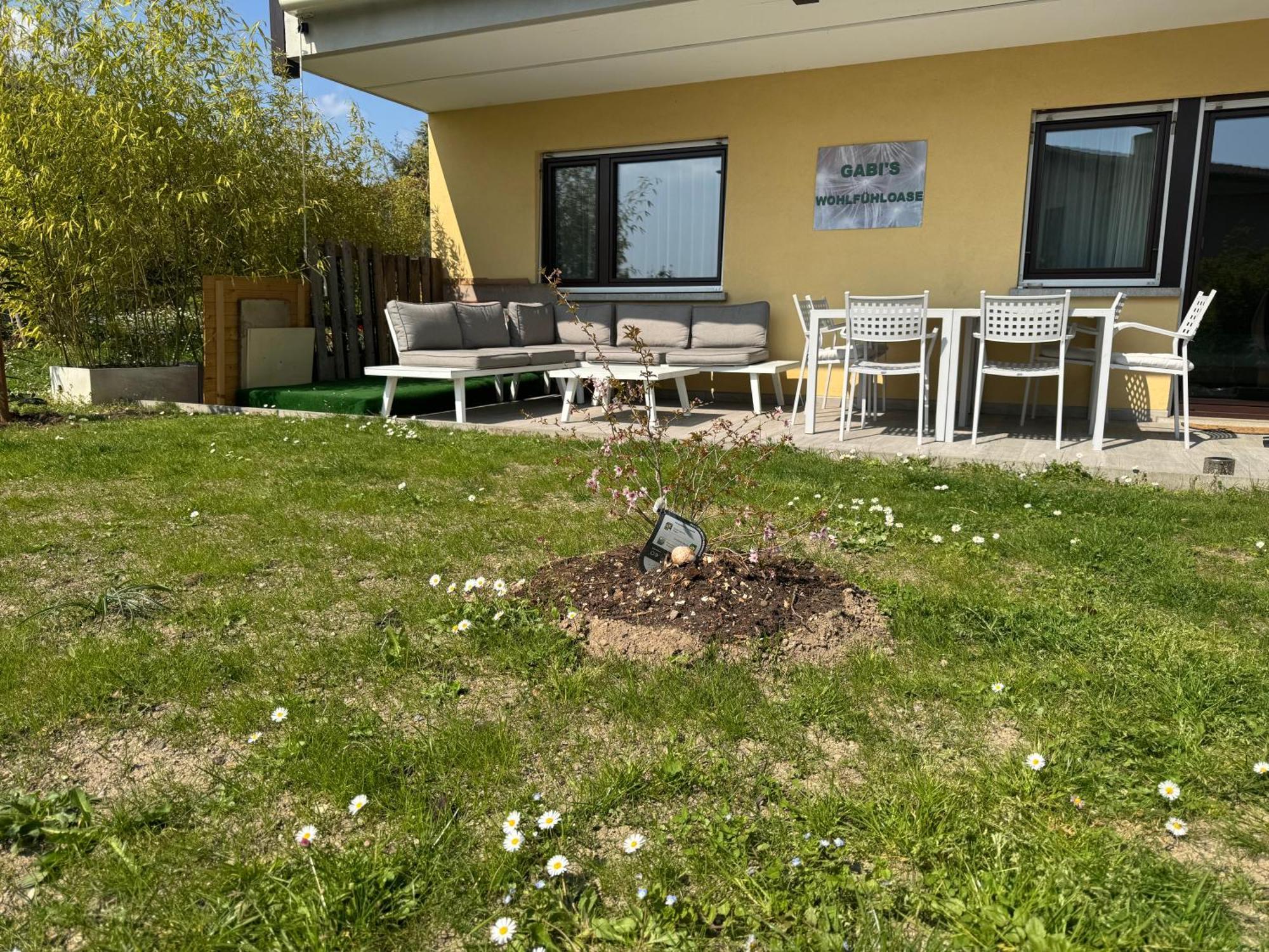 Gabi'S Wolfuehloase Lägenhet Balerna Exteriör bild